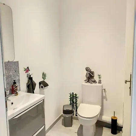 Maison Proche Centre Clim Jardin Wifi 8 Personnes