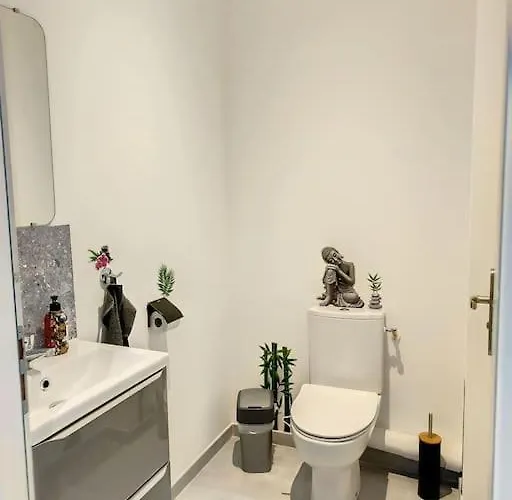 Maison Proche Centre Clim Jardin Wifi 8 Personnes